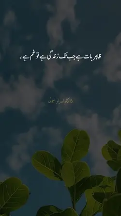 Bilkul 👌💯