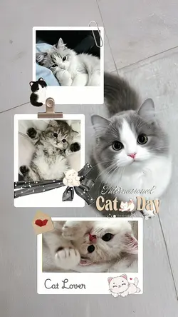My Pet