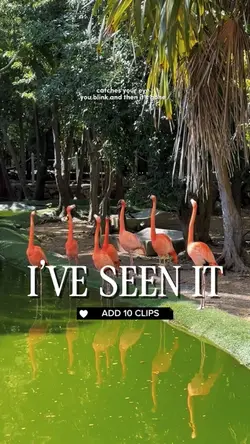I’ve seen it 📸