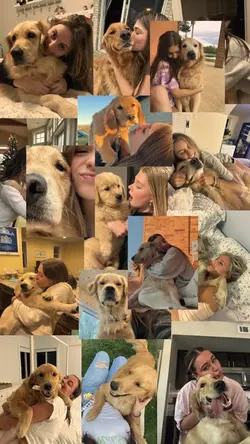 My pets