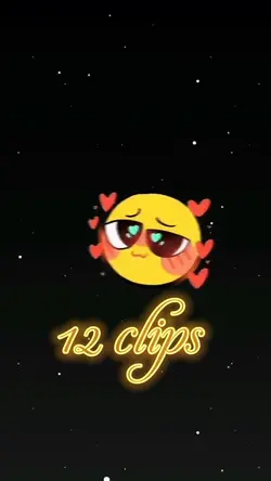 12 VIDEOS OR PHOTOS 