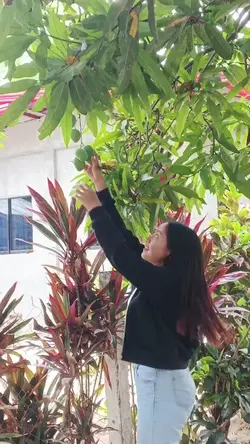 TARA PA BUNDOK