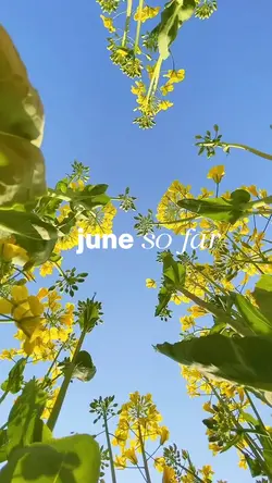 june so far