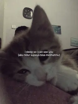 Sailor Song