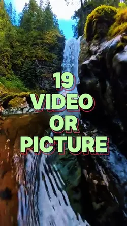 19 video or picture 