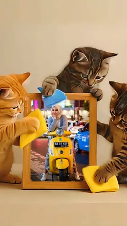 3 kucing lucu viral