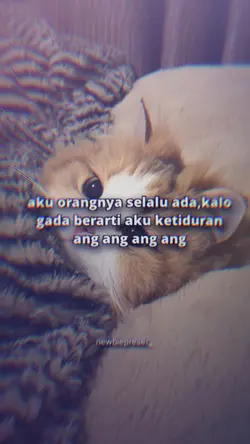 Ang ang ang ang wkwk