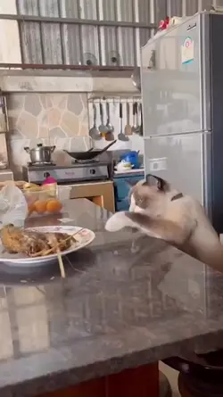 Jangan lupa sarapan