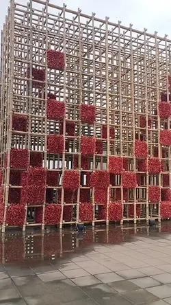 สีสันแห่งบุรีรัมย์