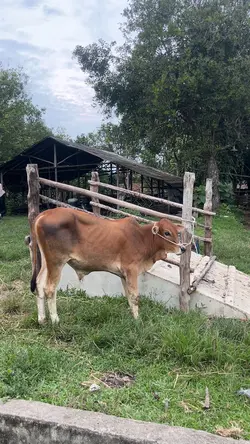 Farm
