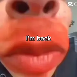 I’m back!!!