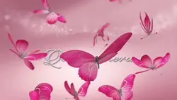  Quinceañera Dream 🦋