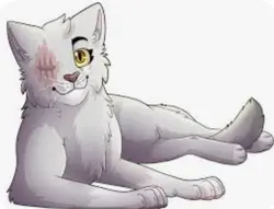 Tiger star edit