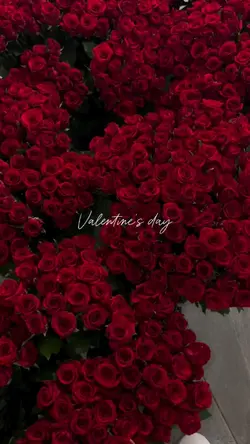 valentines day