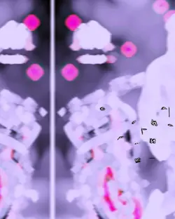 𝐁𝐄𝐒𝐓 𝐓𝐀𝐌𝐏𝐋