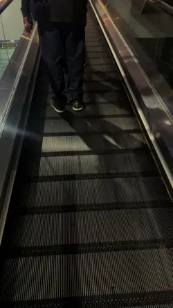Nasheed Vlog