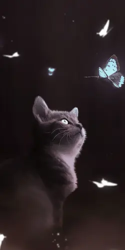 Katzen