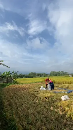 Simpleng Buhay