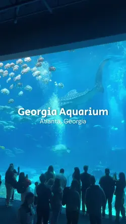 Georgia Aquarium