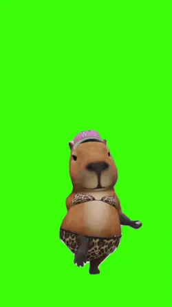 Dance.
