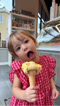 Rice chiken viral