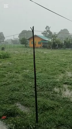 Raining