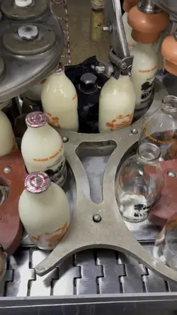 Milk bottles