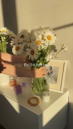 Hello Spring