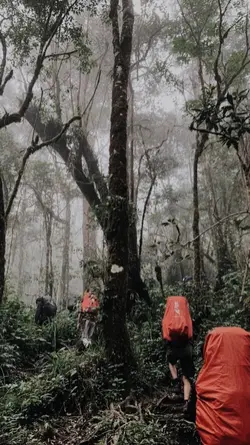 Alam