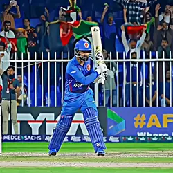 cricket templete 