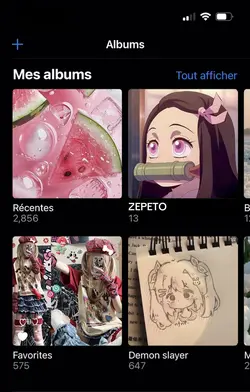 Ma Galerie✨