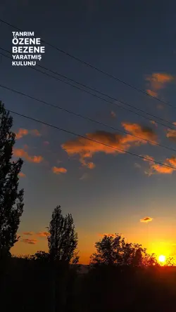 Yeni şablon
