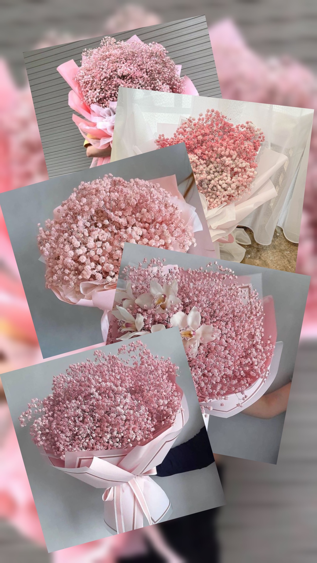 product template photos - Pippit