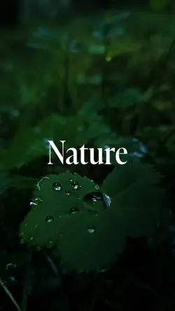 nature