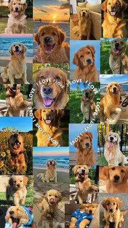 I Lov