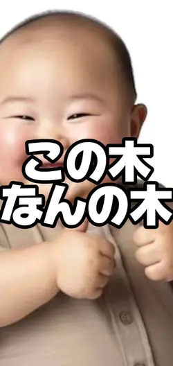 この木なんの木