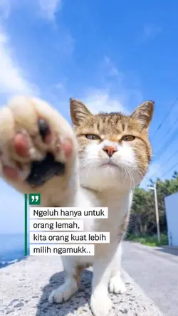 ngeluh hanya untuk
