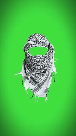 Habibi - greenscreen