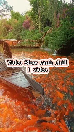 Cảnh đẹp du lịch