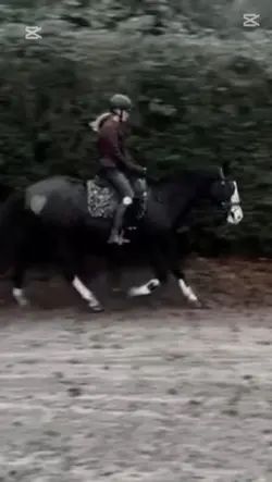 Slow galop ♥️