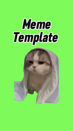 Mad no cat 
