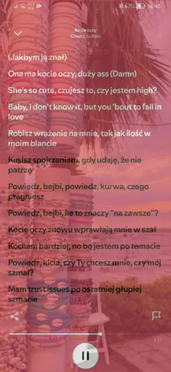kocie oczy