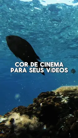 Cor de cinema