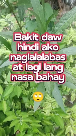 Sa bahay lang
