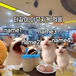 고양이밈 사우나 갔을 때 유형