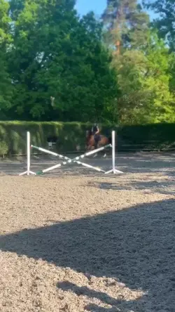Cross poleee