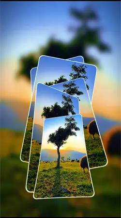 8 videos or photos 