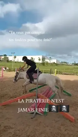 LA PIRATERIE