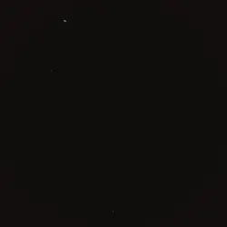 phonk 