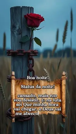 BOA Noite